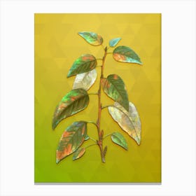 Vintage Balsam Poplar Leaves Botanical Art on Empire Yellow Canvas Print