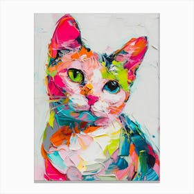 Colorful Cat Canvas Print