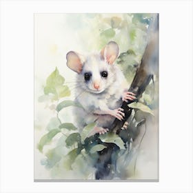 Light Watercolor Painting Of A Western Pygmy Possum 1 Canvas Print