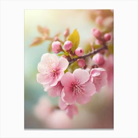 Cherry Blossoms Wallpaper Canvas Print