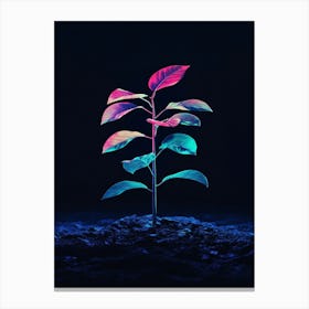 Tree Growing On A Dark Background Canvas Print