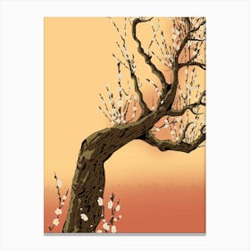 Asian Cherry Blossom Tree Canvas Print