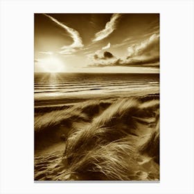 Sand Dunes 7 Canvas Print