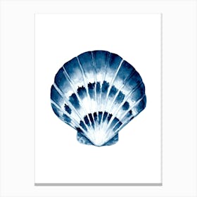 Blue Seashell Canvas Print