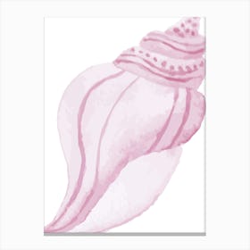 Pink Seashell 3 Canvas Print