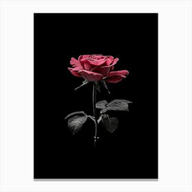 Black Rose 5 Canvas Print