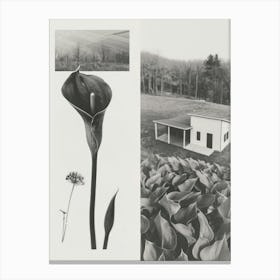 Calla Lilly Flower Photo Collage 4 Canvas Print