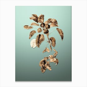 Gold Botanical Musky Pear on Mint Green n.1793 Canvas Print