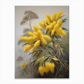 Australia Yellow Wattle Floral Art Canvas Print