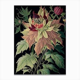 Dahlia Imperialis 3 Floral Botanical Vintage Poster Flower Canvas Print