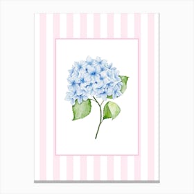 Pink And Blue Hydrangea 3 Canvas Print