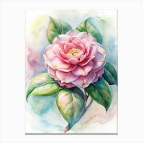 Pink Camellia Watercolor Painting Canvas Print