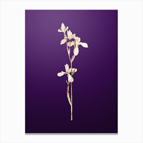 Gold Botanical Siberian Iris on Royal Purple n.2359 Canvas Print