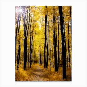 Yellow Autumn Forest Canvas Print