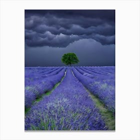 Lavender Field 10 Canvas Print