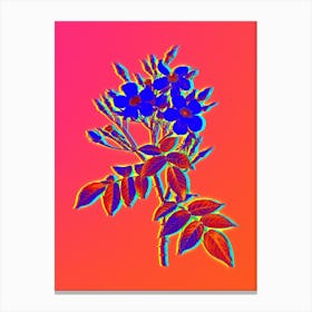 Neon Musk Rose Botanical in Hot Pink and Electric Blue n.0567 Canvas Print