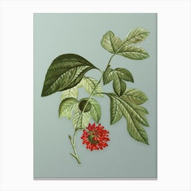 Vintage Paper Mulberry Flower Botanical Art on Mint Green n.0955 Canvas Print