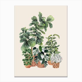 House Plants Club 2 Canvas Print