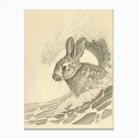Beveren Rabbit Drawing 3 Canvas Print