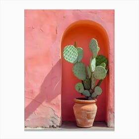 Cactus Stock Videos & Royalty-Free Footage Canvas Print