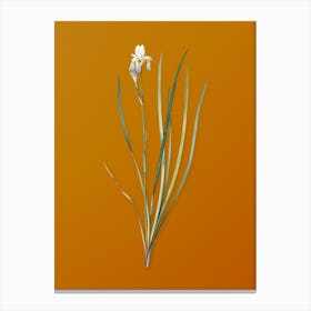 Vintage Siberian Iris Botanical on Sunset Orange n.0846 Canvas Print