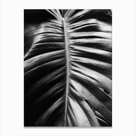 Black And White Leaf Canvas Print