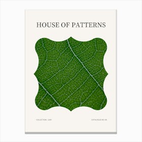 Leaf Pattern Poster 12 Canvas Print