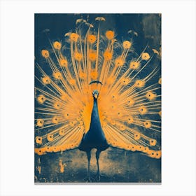 Orange & Blue Peacock With Feathers Out Canvas Print