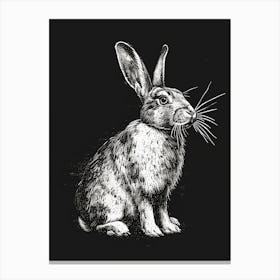 Blanc De Hotot Blockprint Rabbit Illustration 2 Canvas Print