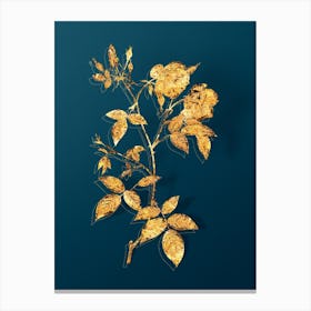 Vintage Velvet China Rose Botanical in Gold on Teal Blue n.0060 Canvas Print