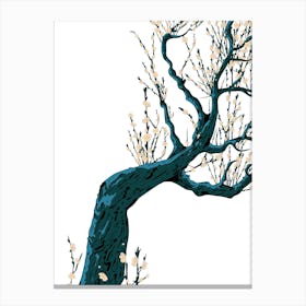 Asian Cherry Blossom Tree 1 Canvas Print