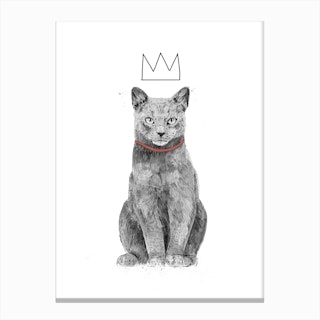 King Of Everything Canvas Print