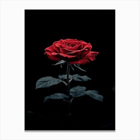 Red Rose On A Black Background Canvas Print