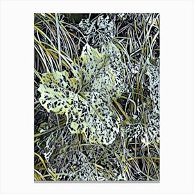 Frosty Grass Canvas Print