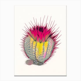 Hedgehog Cactus Minimal Line Drawing 1 Canvas Print