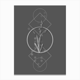 Vintage Ixia Scillaris Botanical with Line Motif and Dot Pattern in Ghost Gray Canvas Print