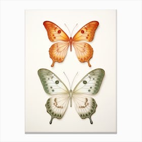 Two Butterflies Isolated On White Background Canvas Print