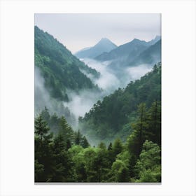 Mist In The Mountains Canvas Print