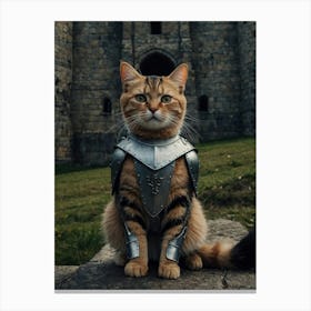 Cat In Armor 2 Canvas Print