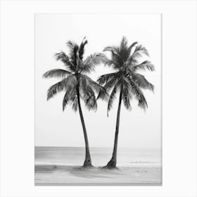 Two Palm Trees On The Beach 1 Canvas Print