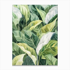 Tropical Leaves 19 Canvas Print