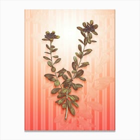Daphne Sericea Flowers Vintage Botanical in Peach Fuzz Awning Stripes Pattern n.0301 Canvas Print