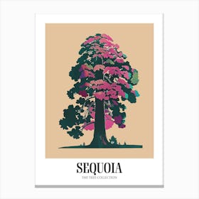 Sequoia Tree Colourful Illustration 1 Poster Canvas Print