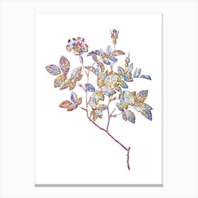 Stained Glass Vintage Rosebush Mosaic Botanical Illustration on White n.0212 Canvas Print