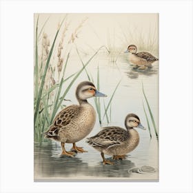 Ducklings In The Water Japanese Woodblock Canvas Print