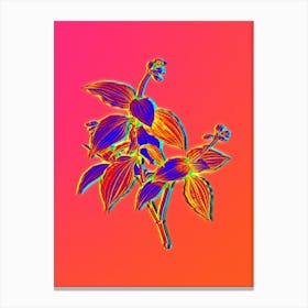 Neon Tradescantia Erecta Botanical in Hot Pink and Electric Blue n.0351 Canvas Print