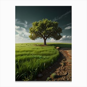 Lone Tree In The Field Canvas Print