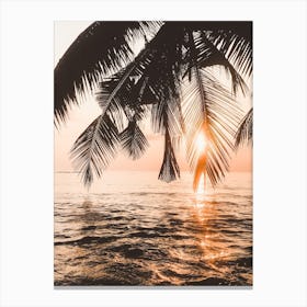 Sunset Palms Canvas Print