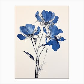 Blue Botanical Kangaroo Paw 2 Canvas Print