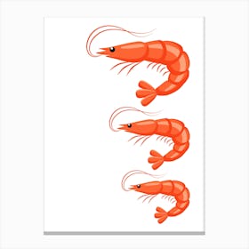 Shrimp Vector Illustration. Canvas Print